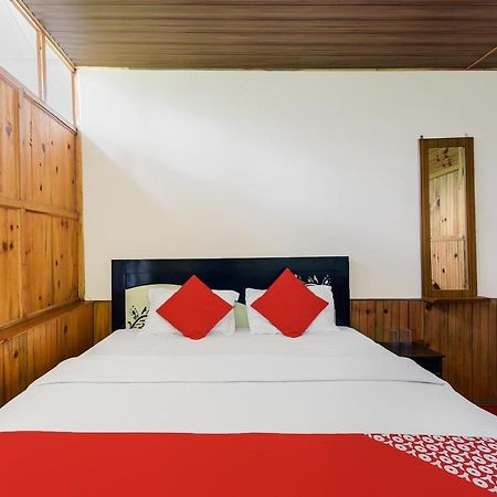Oyo 29888 Nature Treat Hotel Chail Exterior photo